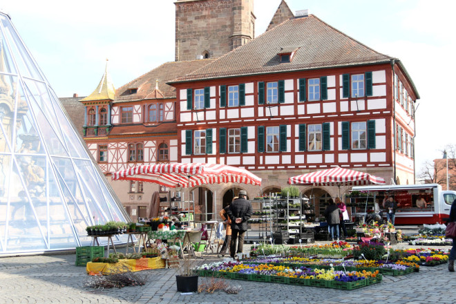 Frühlingsblumen Markt Schwabach