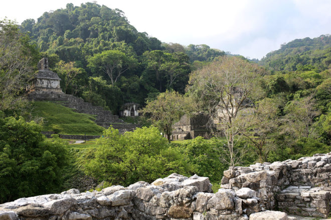 Mexiko Highlight - Die Maya Ruinen Monte Albán und Palenque