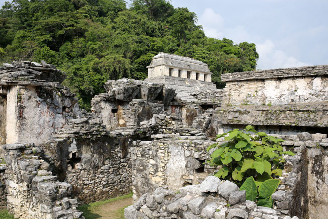 Mexiko Highlight - Die Maya Ruinen Monte Albán und Palenque