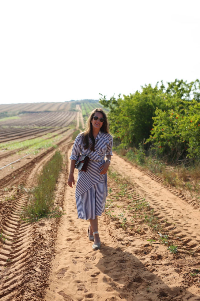 Israel - 70. Independence Day in der Mond Winery