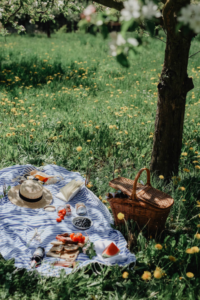 Ein Picknick zwischen Kirschbäumen