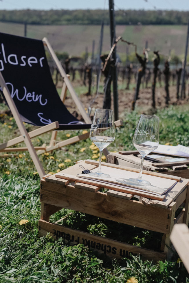 Ausflug Weingut Glaser