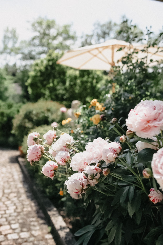 Sommerfest im Garten inmitten von Pfingstrosenbüschen