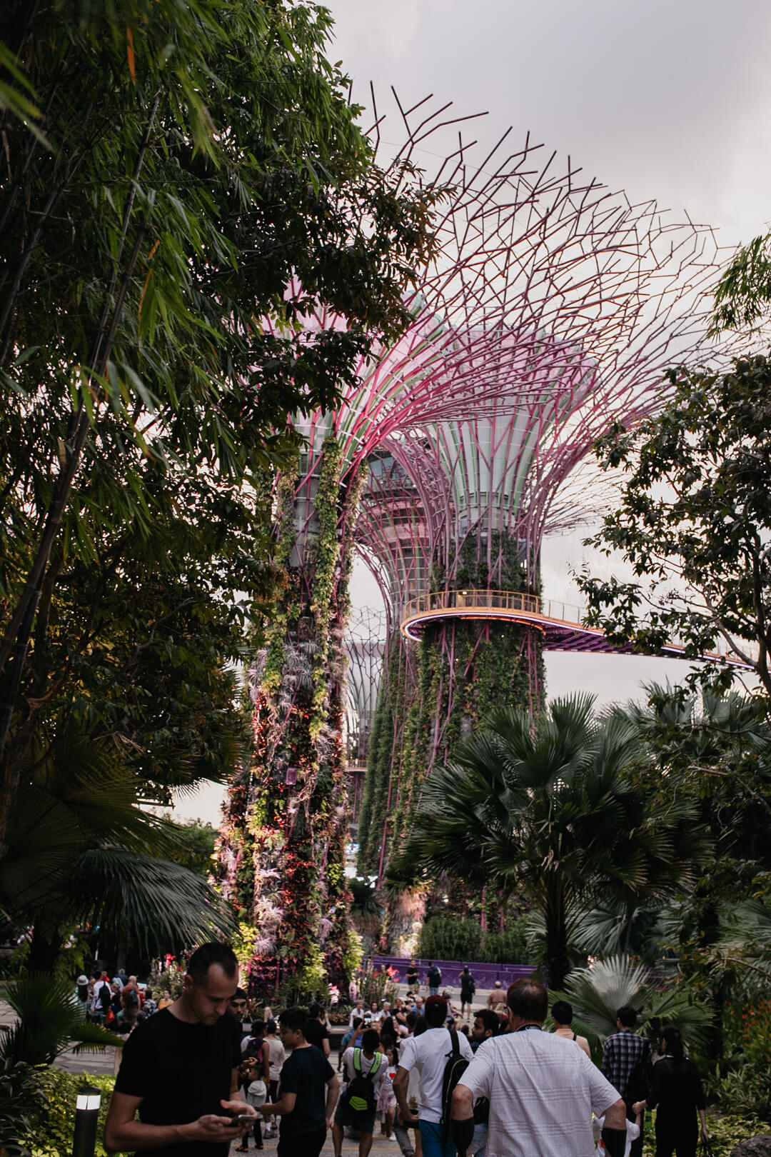 Supertrees im Garden by the Bay // Pieces of Mariposa - Lifestyle Blog aus Nürnberg