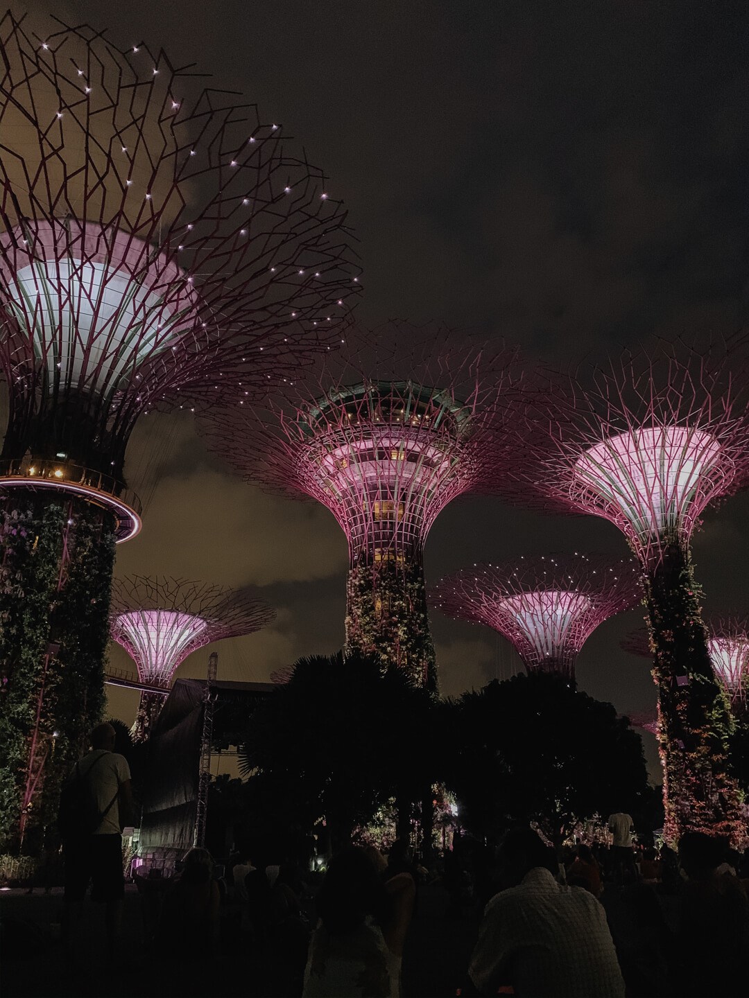 Supertrees im Garden by the Bay // Pieces of Mariposa - Lifestyle Blog aus Nürnberg