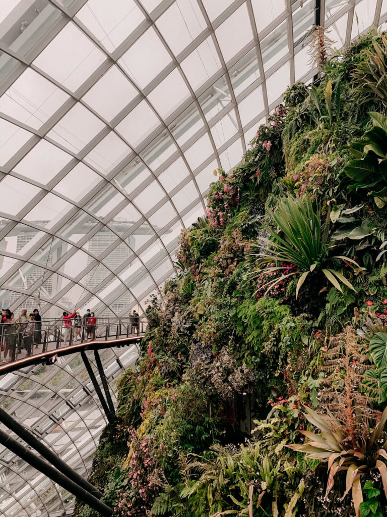 Cloud Forest in Singapur