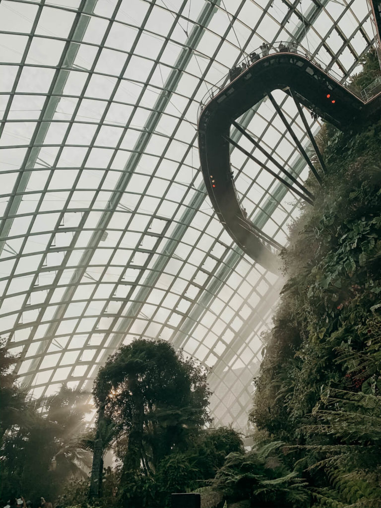 Cloud Forest in Singapur