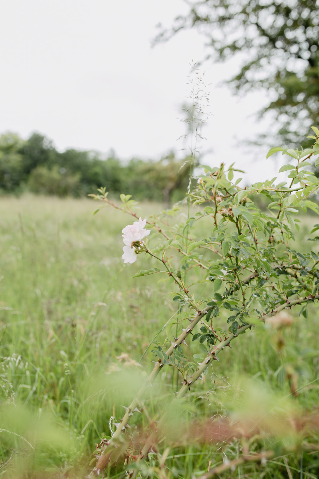 Urlaub in Franken // Pieces of Mariposa - Lifestyle Blog aus Nürnberg