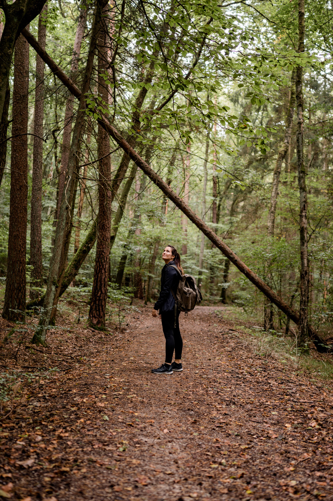 Momentan stellen sich viele die Frage: In den Ferien wegfahren, oder doch lieber daheim bleiben? Da ist so ein Tag in der Natur, samt kleiner Wanderung und ein anschließender Gang in die Sauna doch genau das Richtige, um abzuschalten. Denn das geht ganz easy in der Heimat. Für alle, die sich fragen, wie und ob Sauna in Corona-Zeiten überhaupt geht, habe ich einen ausführlichen Beitrag auf meinem Lifestyle Blog www.piecesofmariposa.com dazu verfasst.