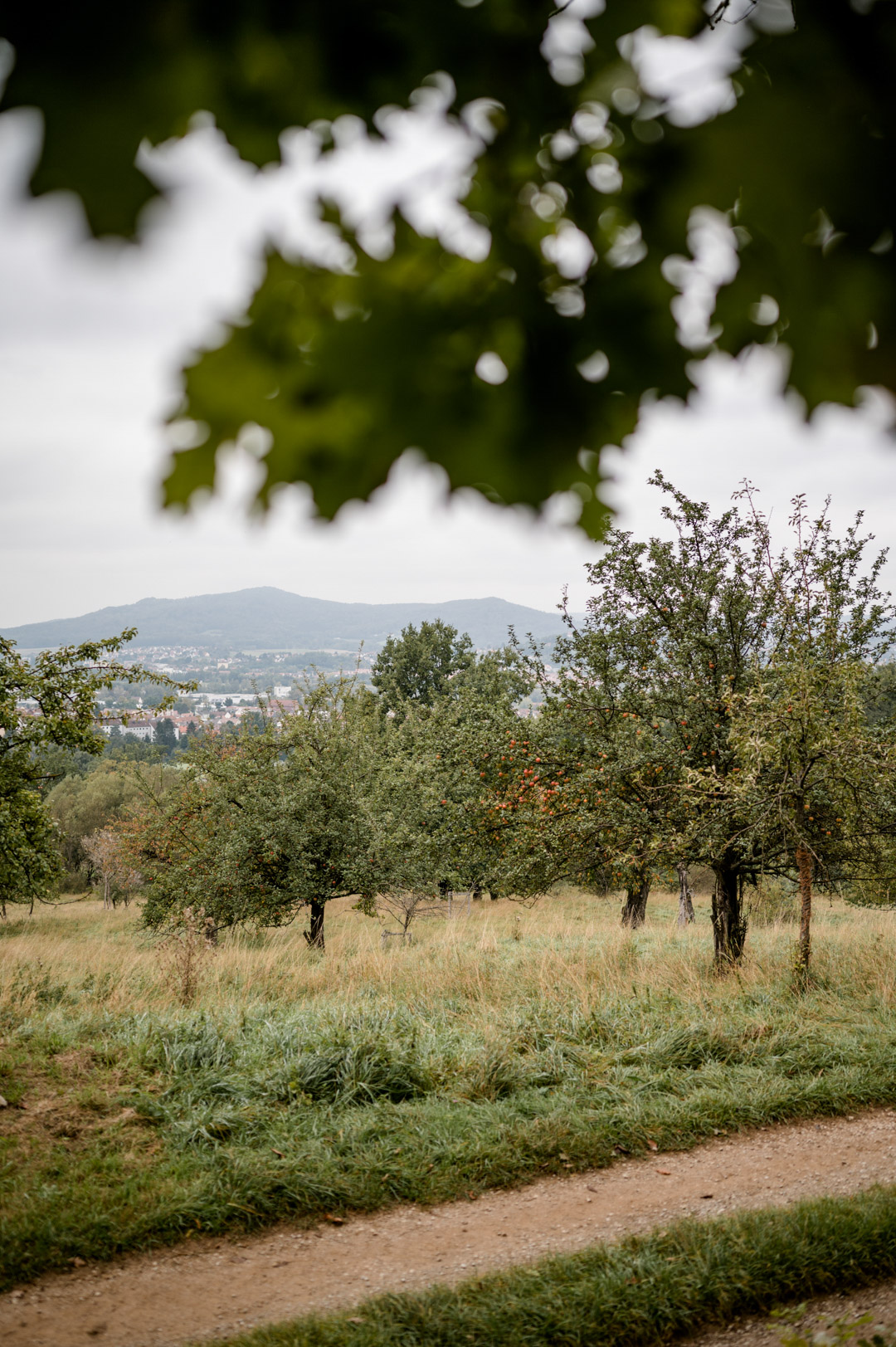 Momentan stellen sich viele die Frage: In den Ferien wegfahren, oder doch lieber daheim bleiben? Da ist so ein Tag in der Natur, samt kleiner Wanderung und ein anschließender Gang in die Sauna doch genau das Richtige, um abzuschalten. Denn das geht ganz easy in der Heimat. Für alle, die sich fragen, wie und ob Sauna in Corona-Zeiten überhaupt geht, habe ich einen ausführlichen Beitrag auf meinem Lifestyle Blog www.piecesofmariposa.com dazu verfasst.